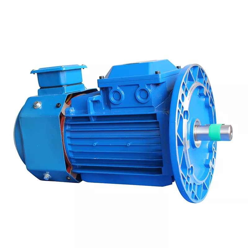 IP65 Permanent Magnet Synchronous Motor